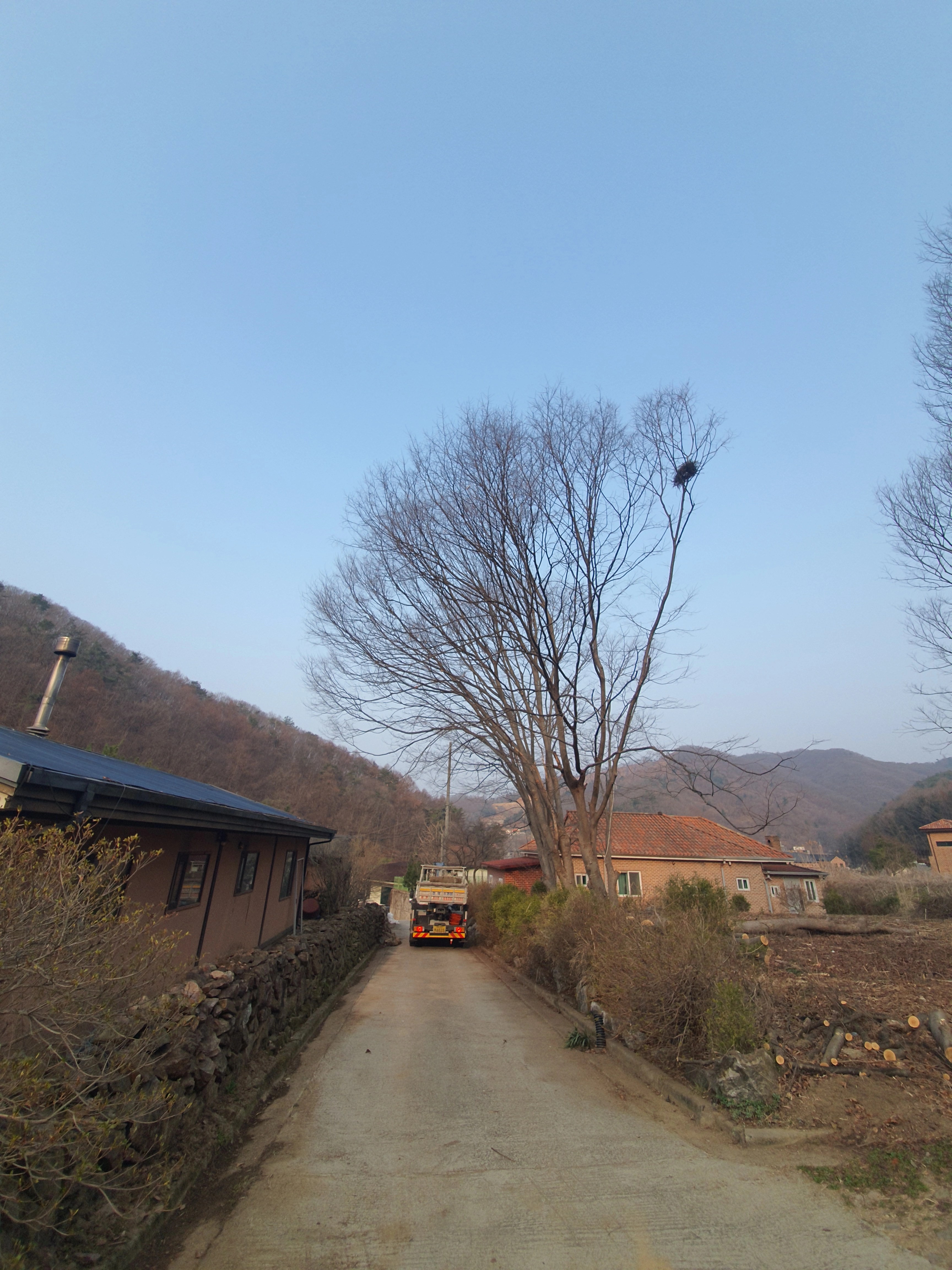 벌목작업 시공 사례 6 — 마포 벌목업체 · 보배종합건설