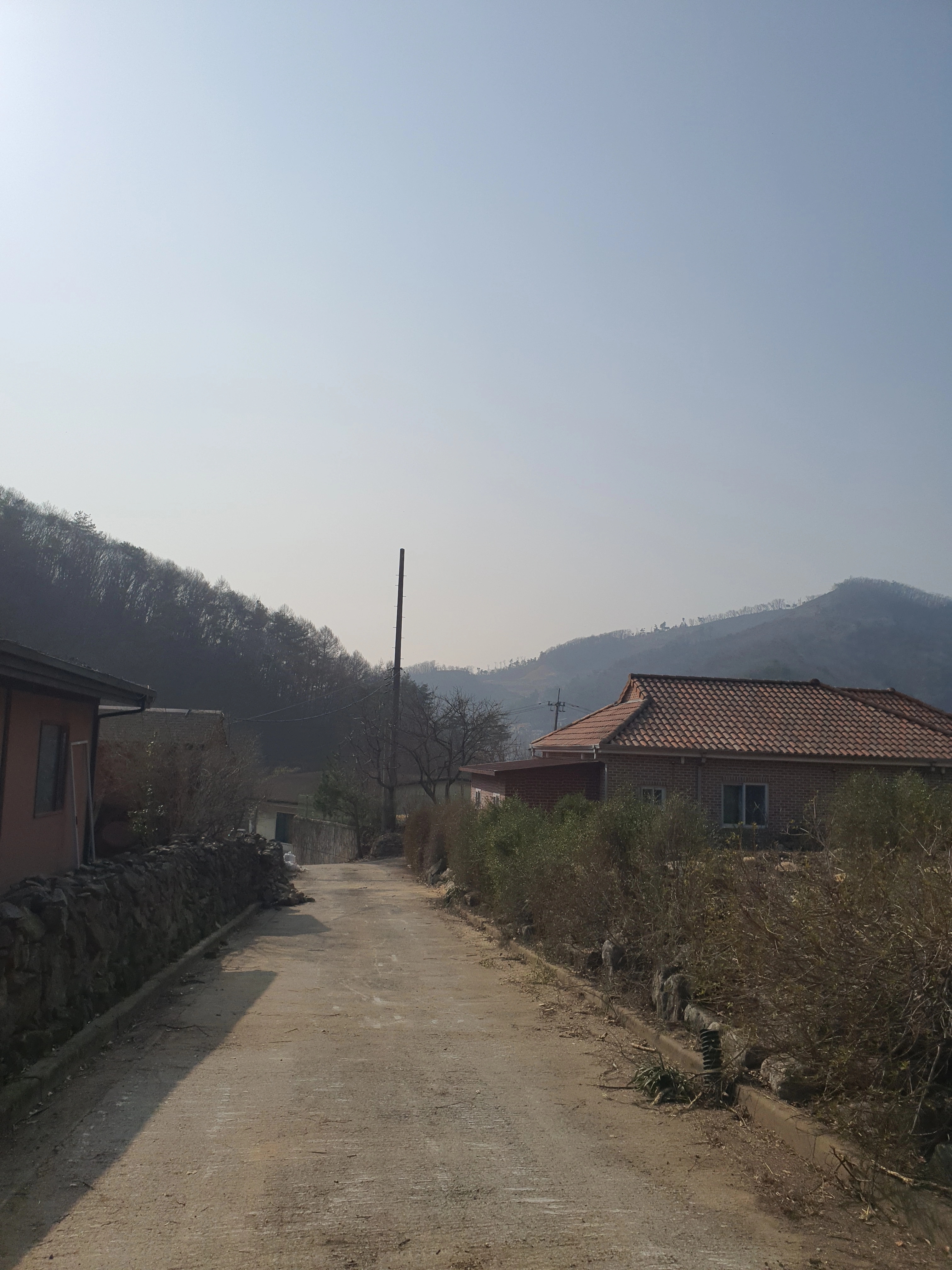 벌목작업 시공 사례 5 — 마포 벌목업체 · 보배종합건설