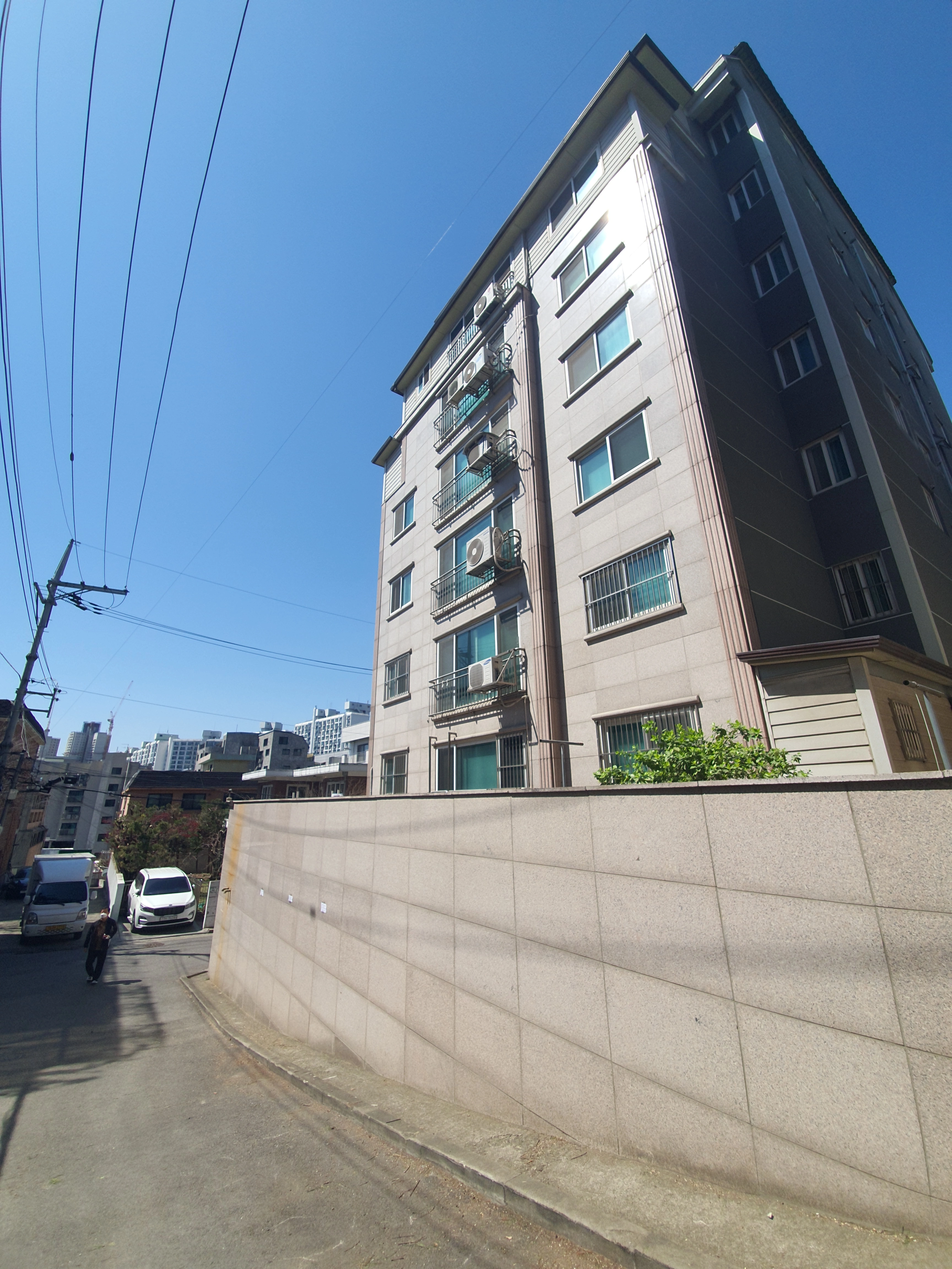 벌목작업 시공 사례 4 — 마포 벌목업체 · 보배종합건설